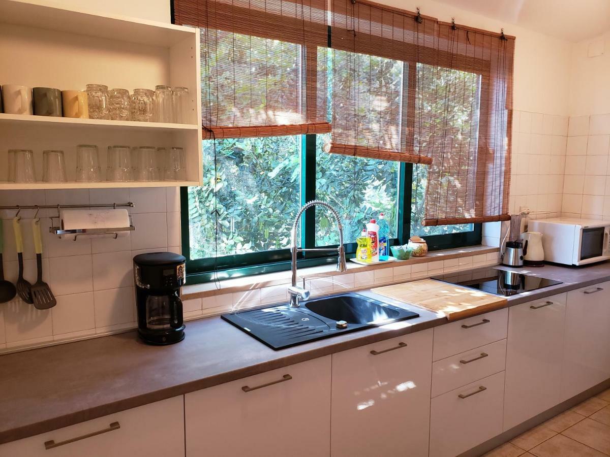 זיווגוסצה Apartments Tanja מראה חיצוני תמונה